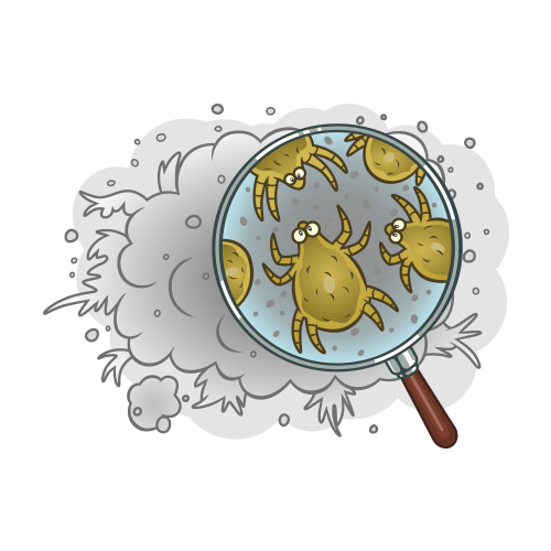 dust-mite-1-2-1.png